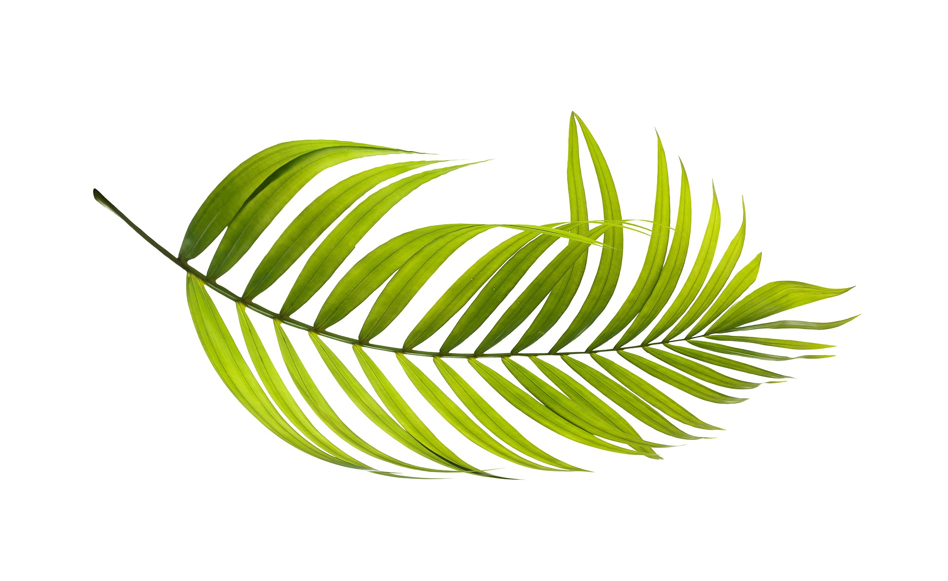 请根据情绪情感的特点 及其对消费者的影响被某一商品制定情感营销策略？什么是情感营销怎么做好情感营销